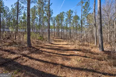 0 Faust Farm Road, Crawford, GA 30630 - Photo 15