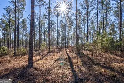 0 Faust Farm Road, Crawford, GA 30630 - Photo 11
