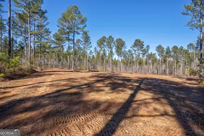 0 Faust Farm Road, Crawford, GA 30630 - Photo 37