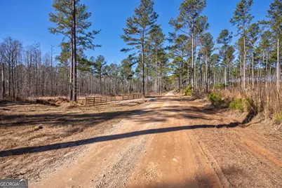 0 Faust Farm Road, Crawford, GA 30630 - Photo 29