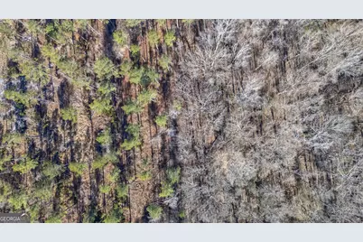 0 Faust Farm Road, Crawford, GA 30630 - Photo 41