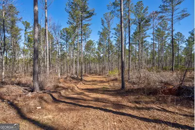 0 Faust Farm Road, Crawford, GA 30630 - Photo 13