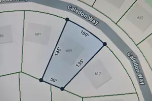 609 Caledon Way, Hampton, GA 30228 - Photo 55