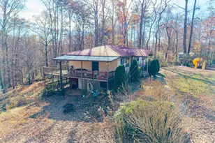 2906 Douthit Rd, Mineral Bluff, GA 30559 - Photo 41