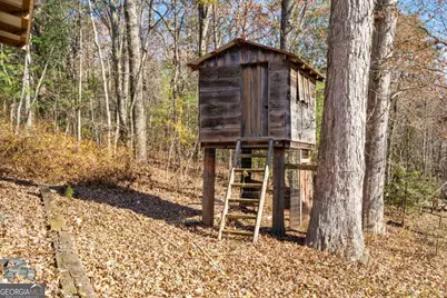 2906 Douthit Road, Mineral Bluff, GA 30559 - Photo 15