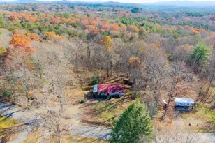 2906 Douthit Rd, Mineral Bluff, GA 30559 - Photo 3