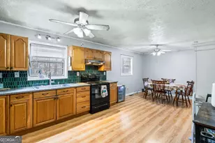 2906 Douthit Rd, Mineral Bluff, GA 30559 - Photo 19