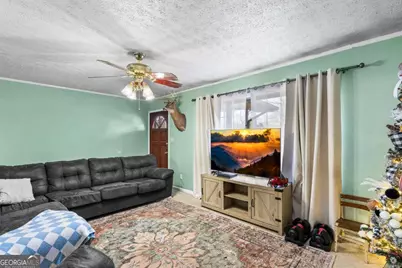 2906 Douthit Road, Mineral Bluff, GA 30559 - Photo 11