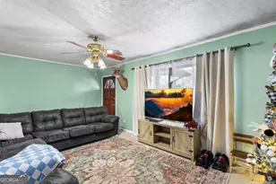 2906 Douthit Rd, Mineral Bluff, GA 30559 - Photo 11