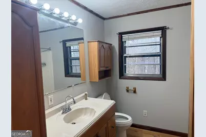 2906 Douthit Road, Mineral Bluff, GA 30559 - Photo 37
