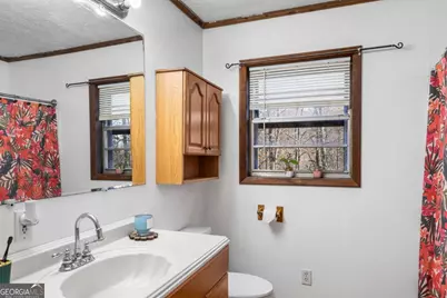 2906 Douthit Road, Mineral Bluff, GA 30559 - Photo 23