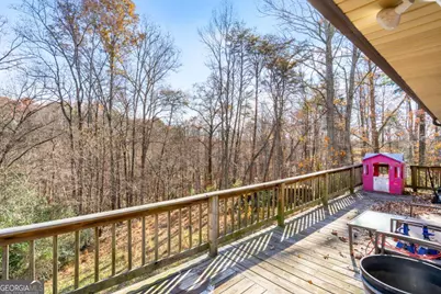 2906 Douthit Road, Mineral Bluff, GA 30559 - Photo 19