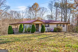 2906 Douthit Rd, Mineral Bluff, GA 30559 - Photo 11