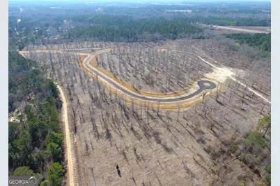 0 Holly Ridge Road, Dublin, GA 31021 - Photo 5