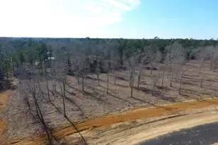 0 Holly Ridge Rd, Dublin, GA 31021 - Photo 1