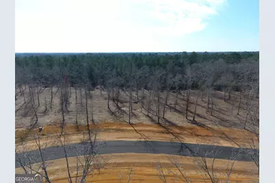 0 Holly Ridge Lot 3, Dublin, GA 31021 - Photo 1
