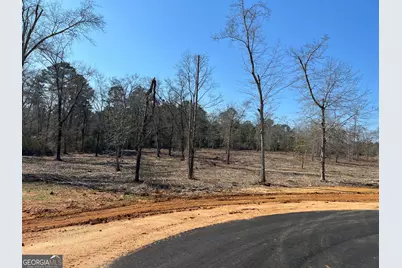 0 Holly Ridge Lot 4, Dublin, GA 31021 - Photo 1