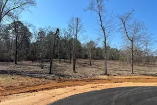 0 Holly Ridge Lot 4, Dublin, GA 31021 - Photo 1