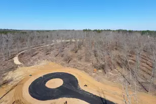 0 Holly Ridge Lot 5, Dublin, GA 31021 - Photo 1