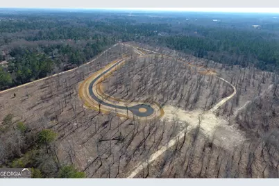 0 Holly Ridge Lot 5, Dublin, GA 31021 - Photo 3