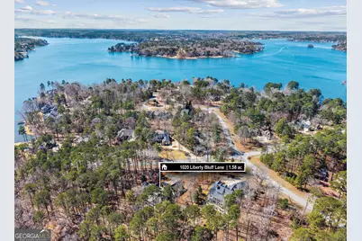 1020 Liberty Bluff Lane, Greensboro, GA 30642 - Photo 3