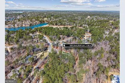 1020 Liberty Bluff Lane, Greensboro, GA 30642 - Photo 73
