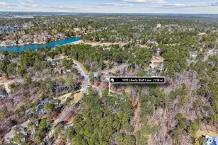 1020 Liberty Bluff Ln, Greensboro, GA 30642 - Photo 73