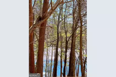 00 Horse Cove Court, Jasper, GA 30143 - Photo 11