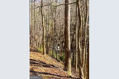 00 Horse Cove Court, Jasper, GA 30143 - Photo 17