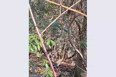 00 Horse Cove Court, Jasper, GA 30143 - Photo 9