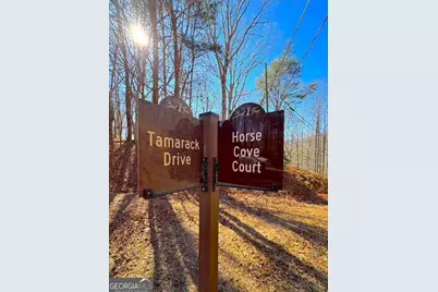 00 Horse Cove Court, Jasper, GA 30143 - Photo 3