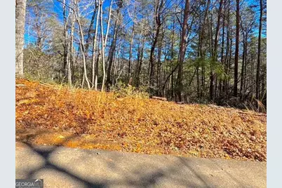 00 Horse Cove Court, Jasper, GA 30143 - Photo 19