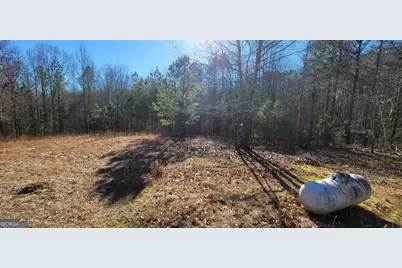 19145 Ga Highway 100, Franklin, GA 30217 - Photo 7