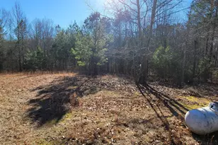 19145 Ga Hwy 100, Franklin, GA 30217 - Photo 7