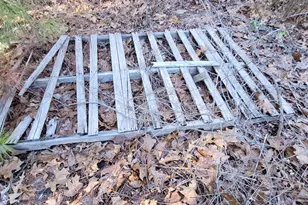 19145 Ga Hwy 100, Franklin, GA 30217 - Photo 35