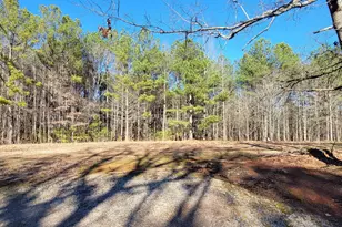 19145 Ga Hwy 100, Franklin, GA 30217 - Photo 41