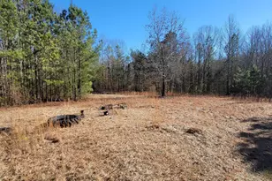 19145 Ga Hwy 100, Franklin, GA 30217 - Photo 45