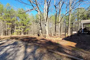 19145 Ga Hwy 100, Franklin, GA 30217 - Photo 3