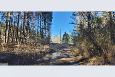 19145 Ga Highway 100, Franklin, GA 30217 - Photo 39