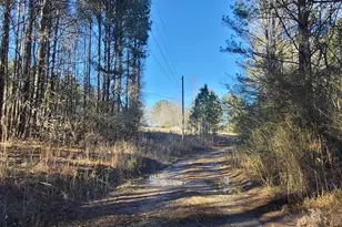 19145 Ga Hwy 100, Franklin, GA 30217 - Photo 39