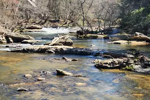 63 Misty Oaks Ct, Ellijay, GA 30536 - Photo 63