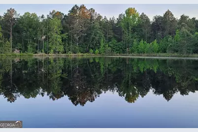 40 Drew Bennett Road, Midville, GA 30441 - Photo 31