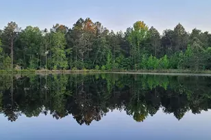 40 Drew Bennett Rd, Midville, GA 30441 - Photo 31