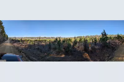 40 Drew Bennett Road, Midville, GA 30441 - Photo 29