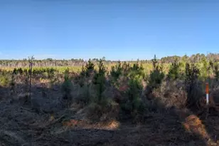 40 Drew Bennett Rd, Midville, GA 30441 - Photo 29