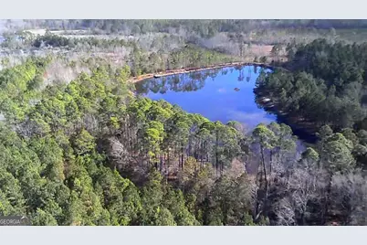 40 Drew Bennett Road, Midville, GA 30441 - Photo 33