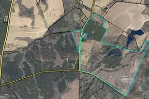 40 Drew Bennett Rd, Midville, GA 30441 - Photo 39