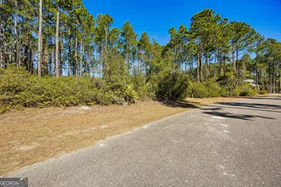 108 Wild Horse Court, Saint Marys, GA 31558 - Photo 3