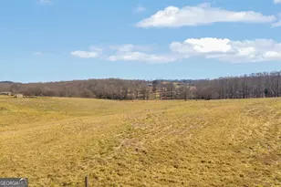 685 James Springs Rd, Danielsville, GA 30633 - Photo 73