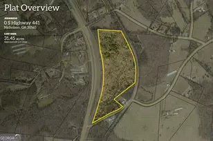 0 S Hwy 441, Nicholson, GA 30565 - Photo 1